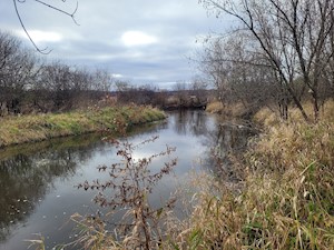 Black Earth Creek Property